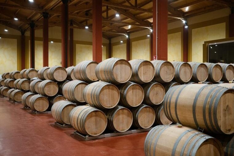 Ribera Del Duero: Experience, Vineyard and 4x4 Mountain, Aperitif and Tasting. - Vineyard and Estate Details