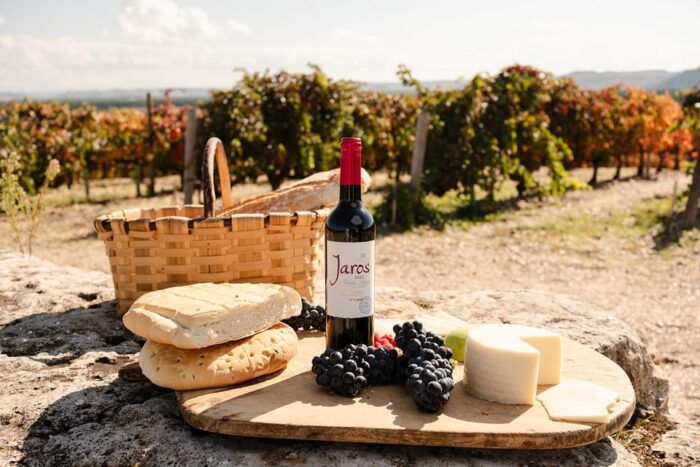 Ribera Del Duero: Experience, Vineyard and 4x4 Mountain, Aperitif and Tasting. - Pricing and Availability