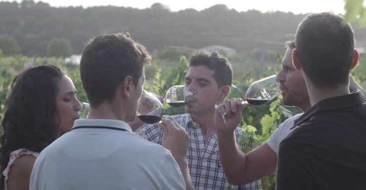 Ribera Del Duero: Guided Wine and Tapas Tour With 4 Wineries - Tour Details