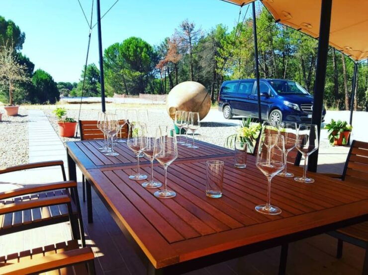 Ribera Del Duero: Guided Wine and Tapas Tour With 4 Wineries - Experience Highlights