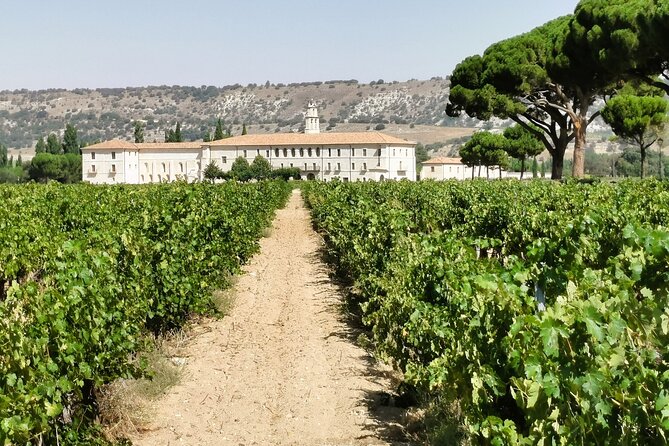 Ribera Del Duero Private Tour - Expert Tour Guide and Wine Education