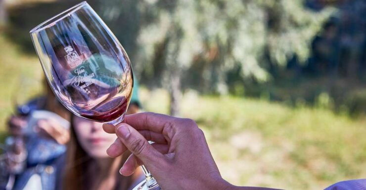 Ribera Del Duero: Red Wine Discovery Tour With Tastings - Booking Details