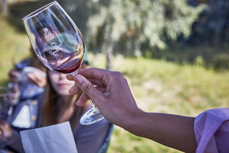 Ribera Del Duero: Red Wine Discovery Tour With Tastings - Experience