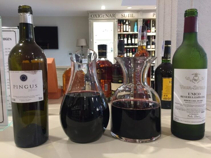 Ribera Del Duero: Wine Tasting Tour With Lunch - Tour Details