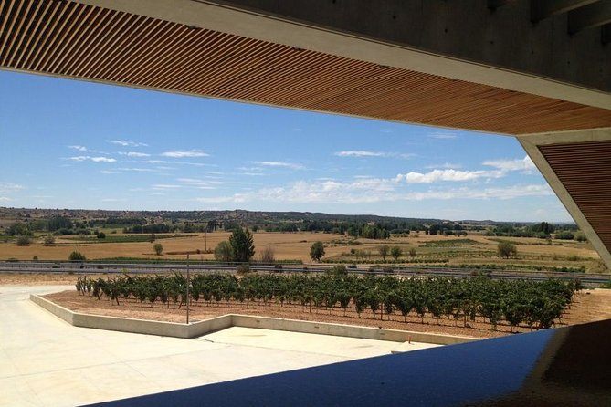 Ribera Del Duero Wineries Guided Tour & Wine Tasting From Madrid - Wineries and Wine Tasting Experience