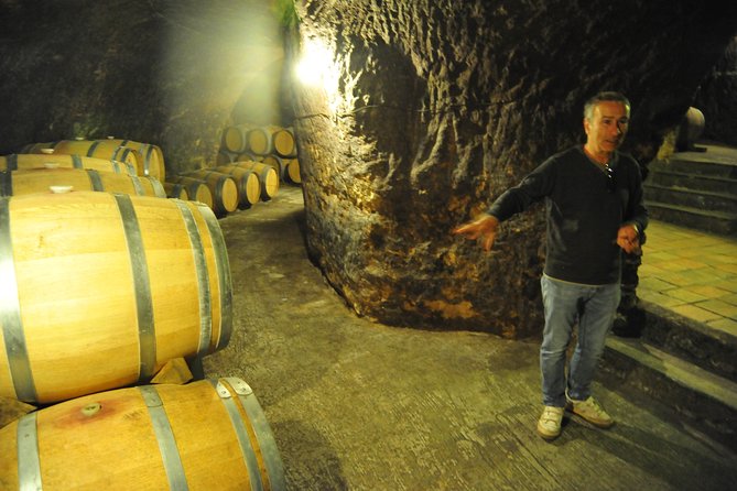 Ribera Del Duero Wineries Guided Tour & Wine Tasting From Madrid - Common Questions
