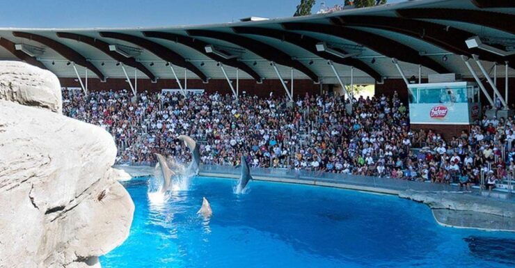 Riccione: Oltremare Park Entrance Ticket - Experience Highlights