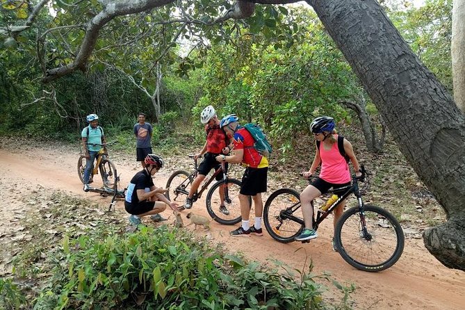 Rice Fields & Rural Villages Tour - Pickup Information