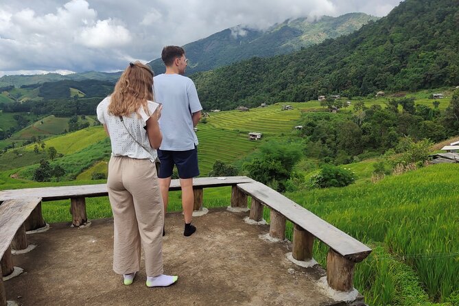 Rice Fields Terraces of Ban Pa Pong Piang. ( 1 Day Tour ) - Immersive Experience in the Heart of Nature