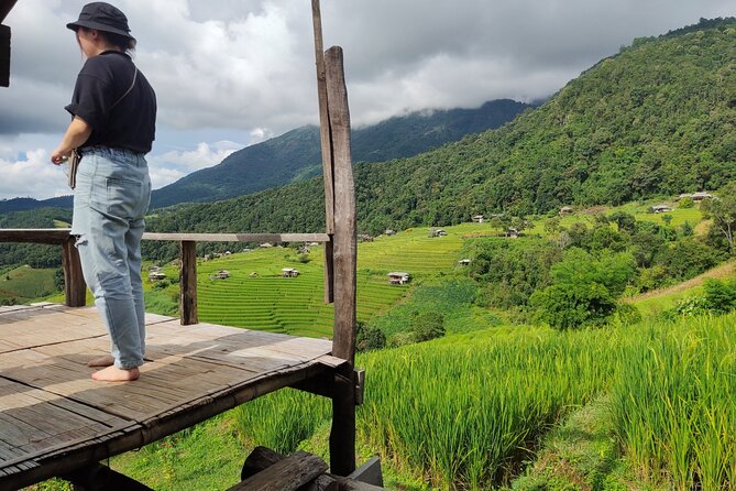 Rice Fields Terraces of Ban Pa Pong Piang. ( 1 Day Tour ) - The Sum Up