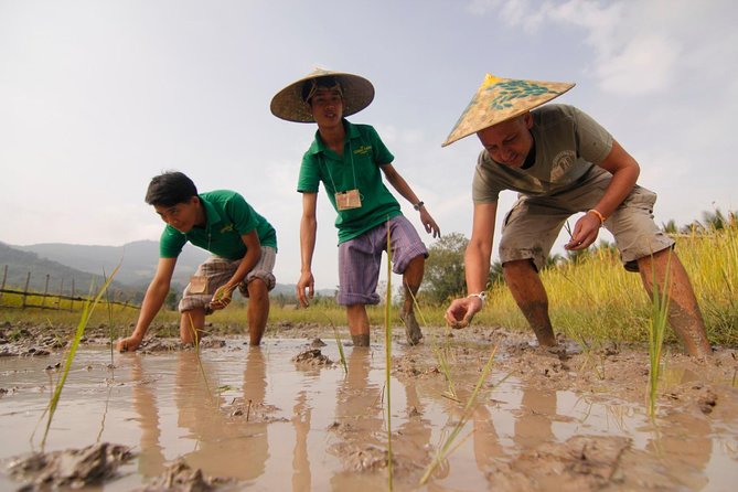 Rice Is Life Experience & Kuang Si Waterfall - Luang Prabang Full Day Tour - Tour Pricing and Location Details