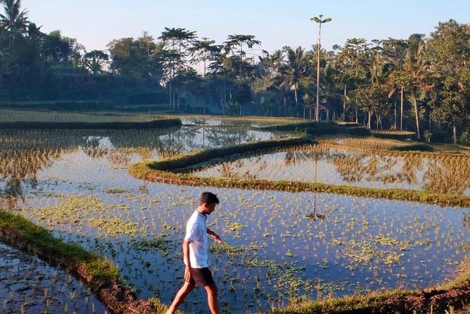 Rice Paddies, Local Villages and Handicraft - Taking in Local Village Life