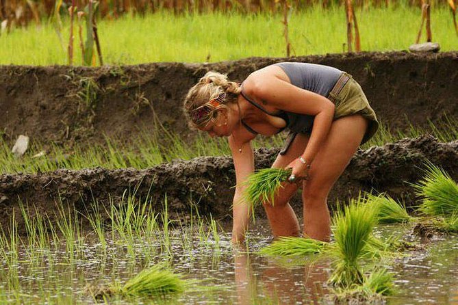 Rice Plantation Experience in Bhaktapur - Half-Day Private Excursion