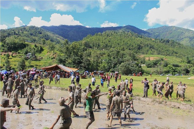 Rice Plantation Experience in Bhaktapur - Common Questions