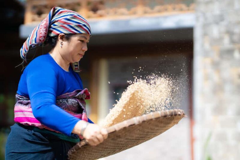 Rice Processing Workshop in Mai Chau - Unpacking the Experience