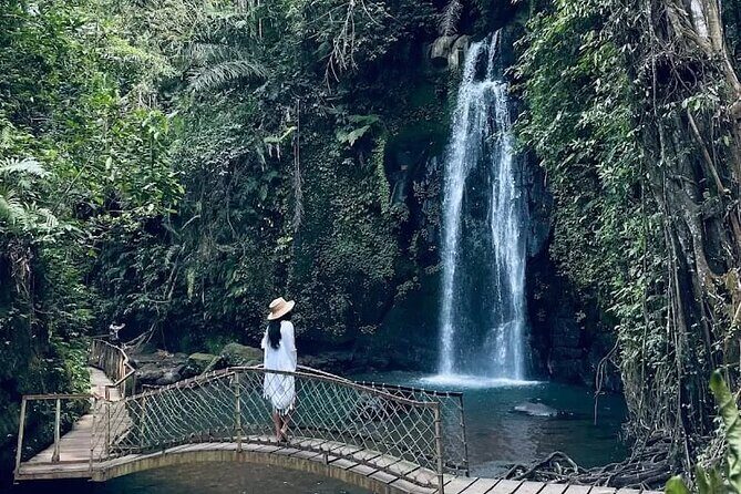 Rice Terrace, Temple, Ulu Petanu Waterfall with Pro Photographer - Exploring the Itinerary: What You Can Expect from Start to Finish