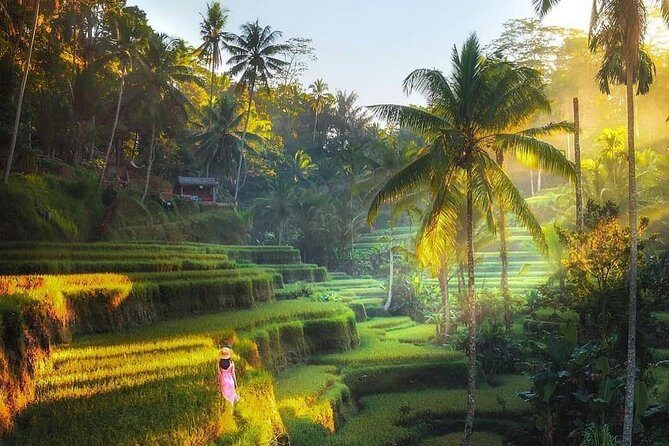 Rice terrace tour and Ubud area tour - Good To Know