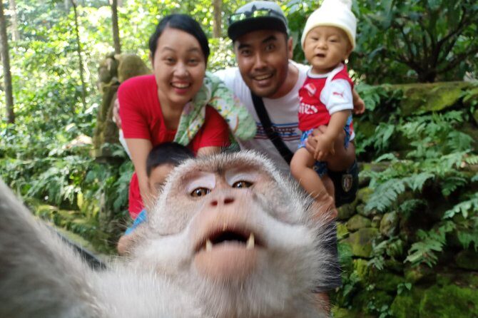 Rice terrace tour and Ubud area tour - What’s Included and What’s Not