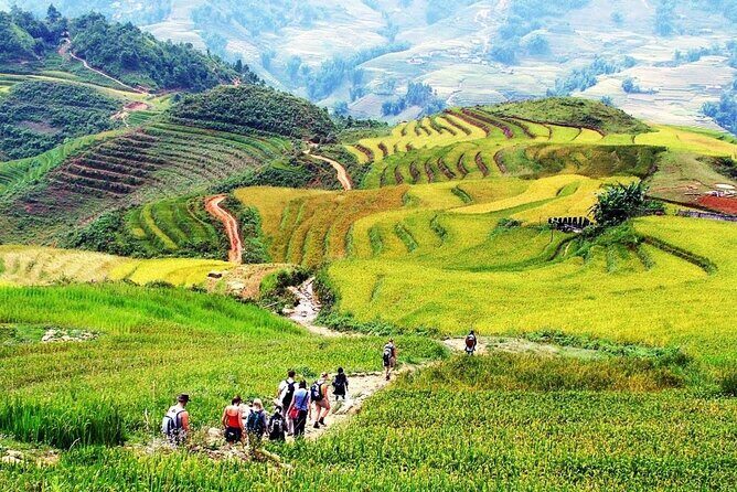 Rice Terraces and Ethnic Villages - Rice Terraces and Ethnic Villages Tour Review