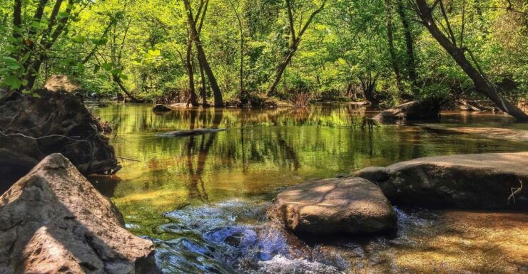 Richmond: Guided Hike in James River Park - Activity Details