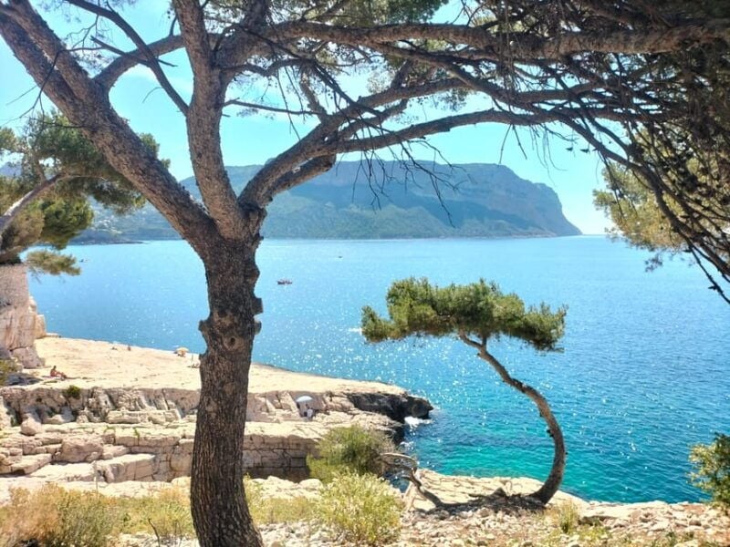 Richness of Provence in One Day - Customizable Private Trip - Good To Know