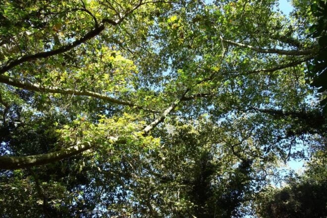 Richtis Gorge Private Guided Hiking Tour - Itinerary Details