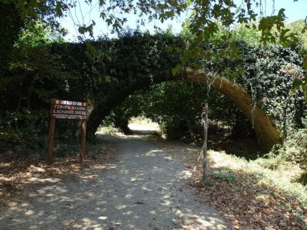 Richtis Gorge Private Guided Hiking Tour - Frequently Asked Questions