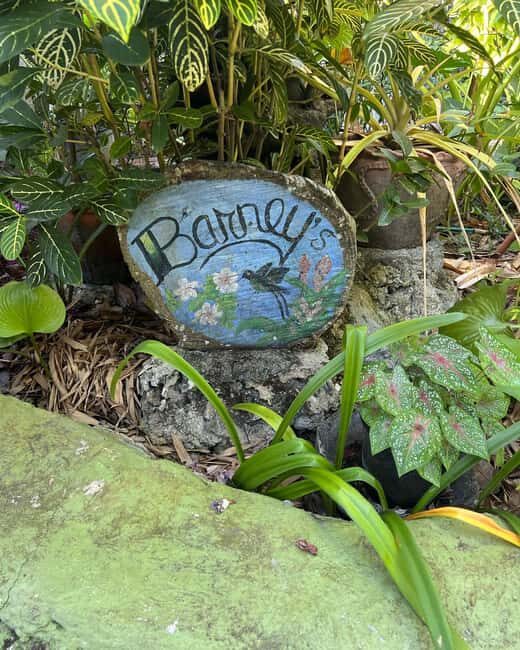 Ricks Cafe and Barney's Hummingbird Garden Tour - Final Thoughts