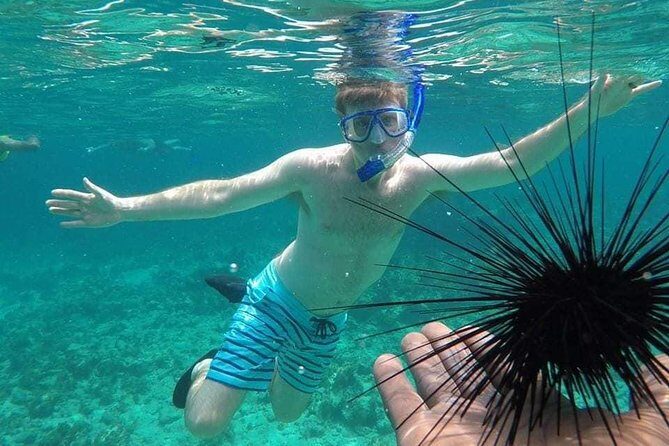 Rick's Cafe Sunset Cruise and Snorkelling - Ricks Cafe Sunset Cruise and Snorkelling: A Fun-Filled Day in Negril