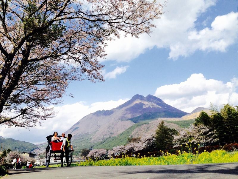 Rickshaw Experience in Yufuin - What the 30-minute route can fit in