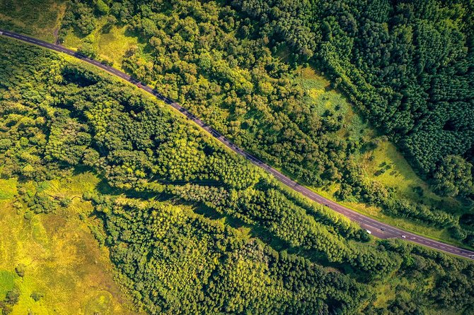 Rickys Gateway to the Highlands Tour - Questions and Terms