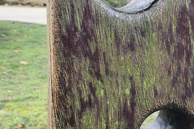 Riddle Scavenger Hunt Around the Berger See - Tips and Tricks for a Successful Hunt