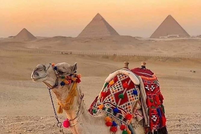 Ride a Camel and Enjoy Local BBQ Dinner at Giza Pyramids - Miscellaneous