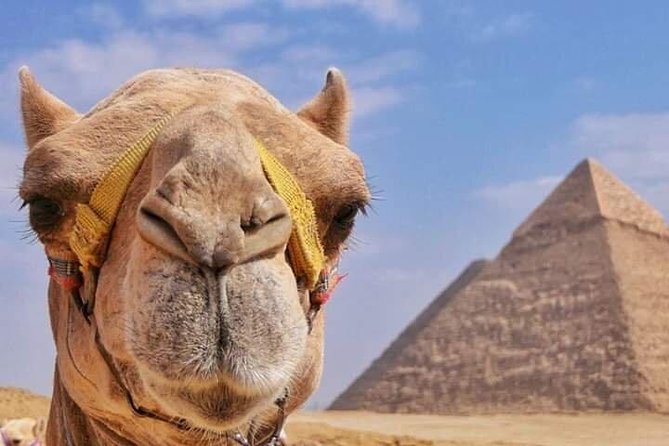 Ride a Camel at The Great Pyramids of Giza - Activity Inclusions