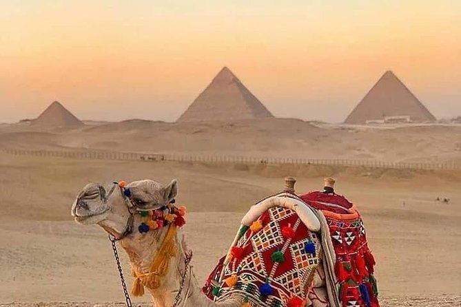 Ride a Camel at the Pyramids of Giza Area - Pricing Details: From .00