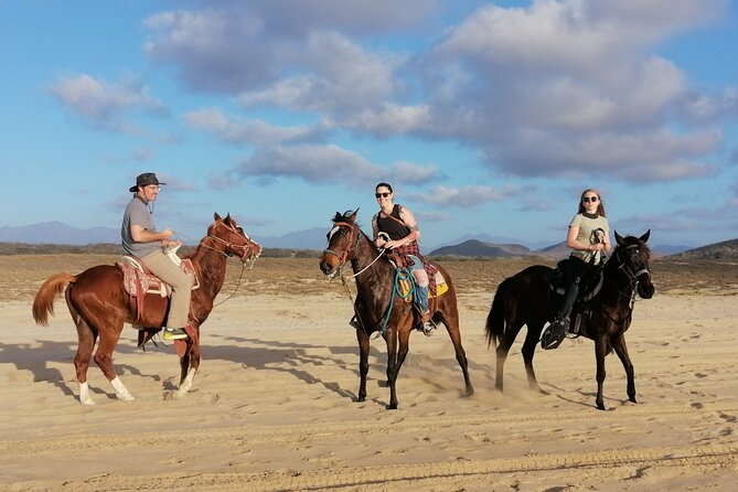 Ride a Horse Around the Beautiful Beaches of Todos Santos. - Meeting and Pickup