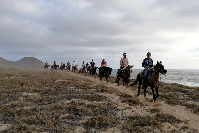Ride a Horse Around the Beautiful Beaches of Todos Santos. - Traveler Photos and Reviews