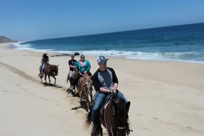 Ride a Horse Around the Beautiful Beaches of Todos Santos. - Safety Precautions and Recommendations