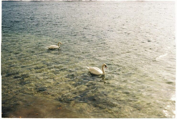Ride a Motorboat Into the Sunset & Enjoy a Picnic - Pricing and Reservations
