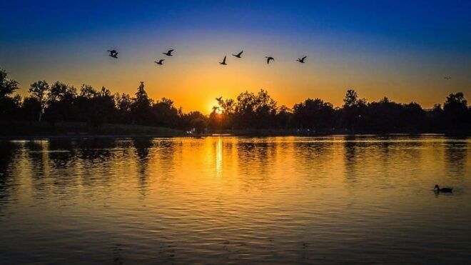 Ride a Motorboat Into the Sunset & Enjoy a Picnic - Included in the Package