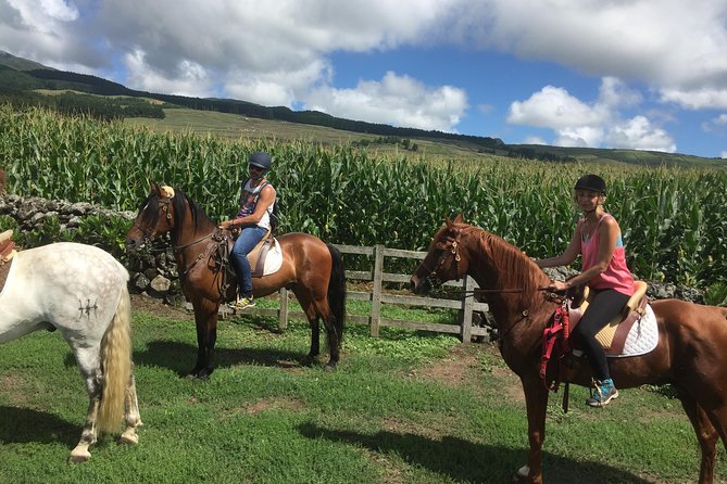 Ride a Volcano - Go to the Gardens in the Woods - Pricing and Booking Details