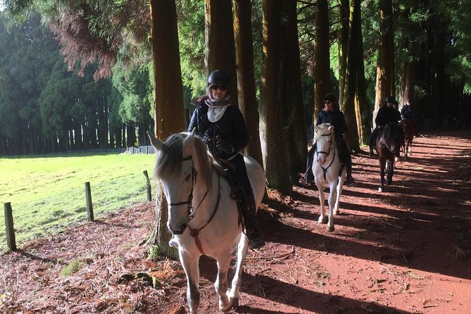 Ride a Volcano - Go to the Gardens in the Woods - The Sum Up