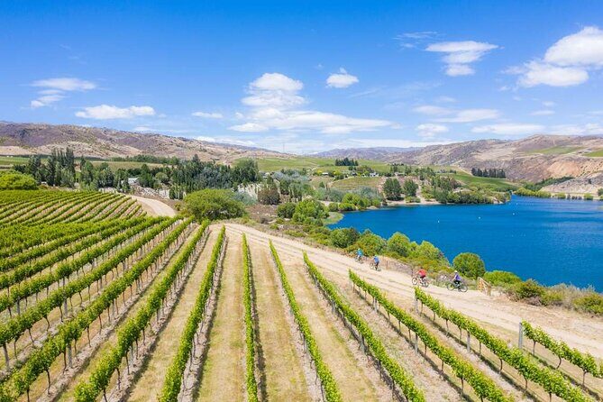 Ride and Wine Central Otago E bike Adventure - Exploring the Central Otago E-bike Adventure in Detail