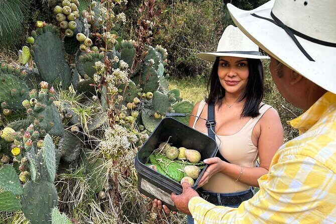 Ride Horses, Learn to Cook with Locals in Mexico City - Who Would Love This Tour?