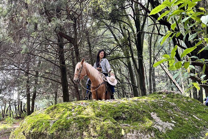 Ride Horses, Learn to Cook with Locals in Mexico City - The Sum Up