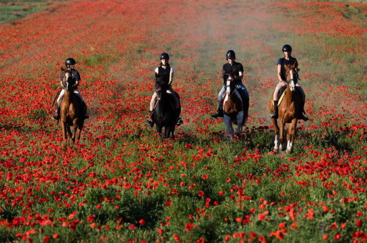 Ride in Rome With Meal and Wine Included - Good To Know