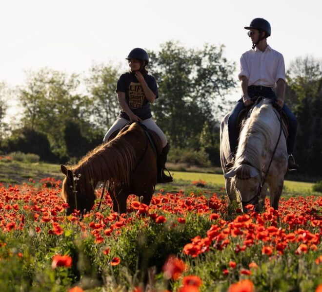 Ride in Rome With Meal and Wine Included - Suitable Participants