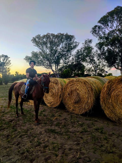 Ride in Rome With Meal and Wine Included - What to Bring