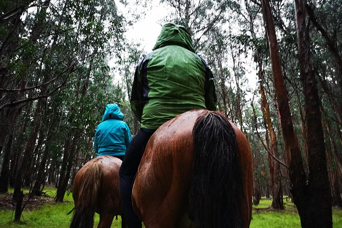 Ride in the Morning and Plant a Tree on the Top of the Island - Island Exploration