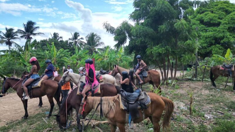 Ride into Paradise: Punta Cana Horsback Riding On the Beach. - Good To Know